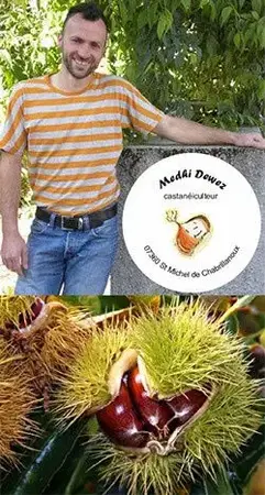 Dewez Mehdi
