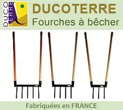 Ducoterre