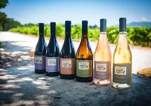 Le domaine Montirius