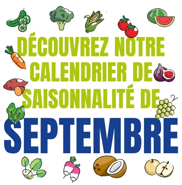 Découvrez notre calendrier de saisonnalité de Septembre 2024 ! Découvrez notre calendrier de saisonnalité de Septembre 2024 !